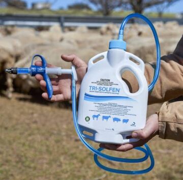 tri-solfen-in-the-field